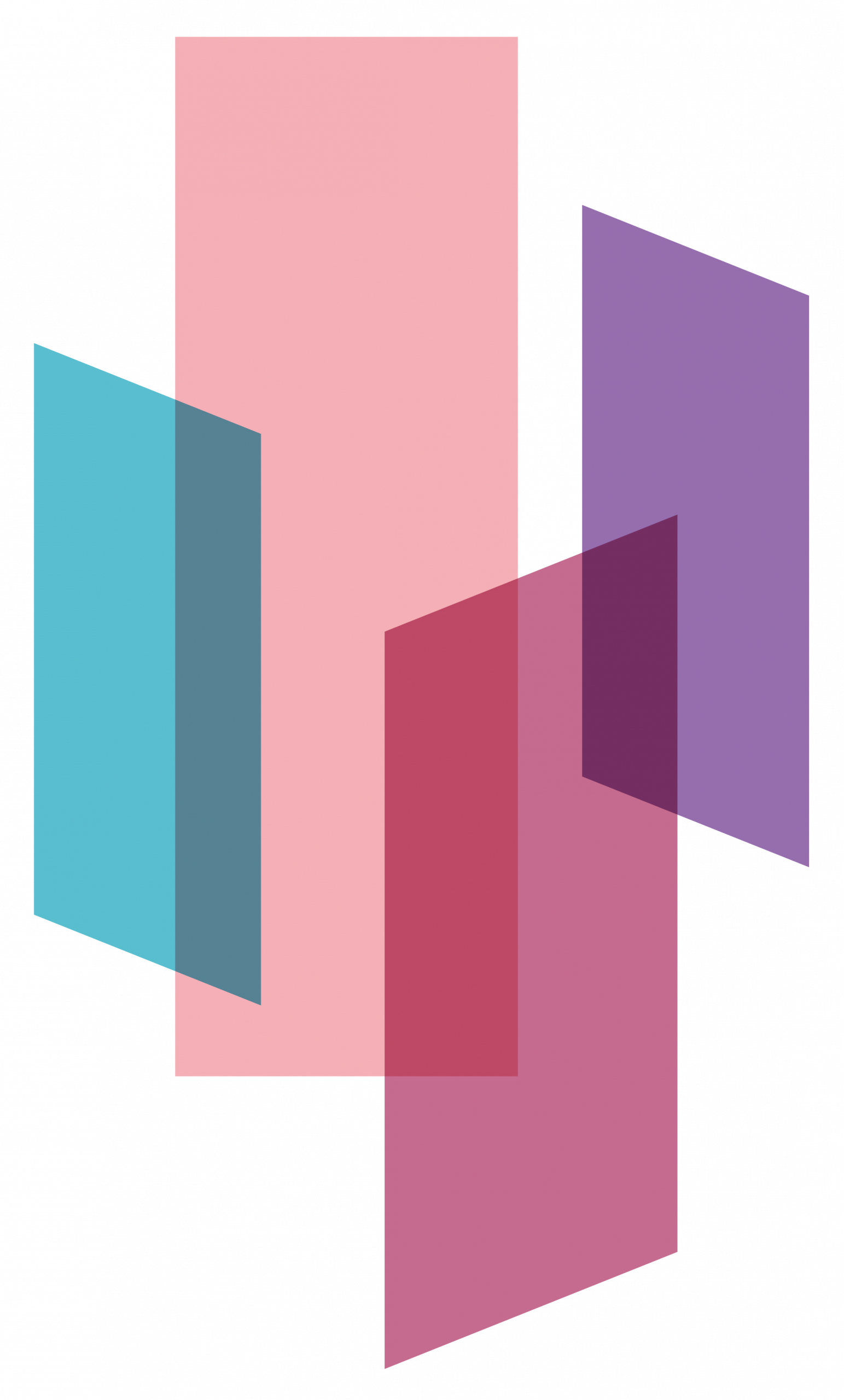 DigiSol Logo